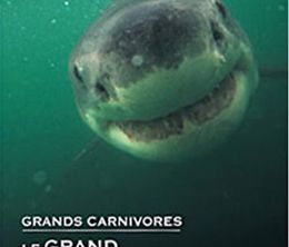 image-https://media.senscritique.com/media/000019913137/0/grands_carnivores_le_grand_requin_blanc.jpg