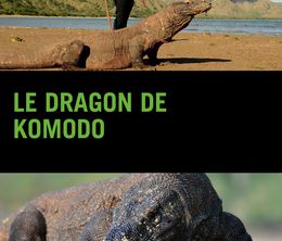 image-https://media.senscritique.com/media/000019913142/0/le_dragon_de_komodo.jpg