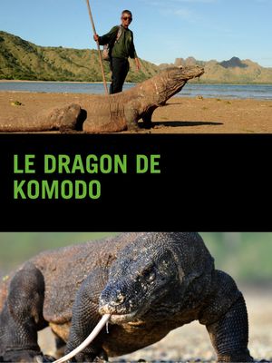 Le Dragon de Komodo