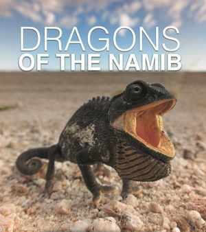 Dragons du Namib