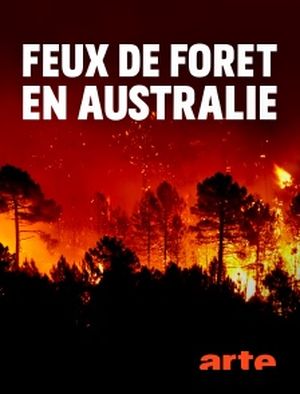 Feux de forêt en Australie