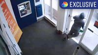 Fight Or Flight
