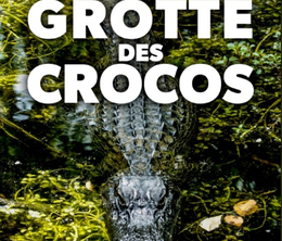 image-https://media.senscritique.com/media/000019915928/0/gabon_dans_les_grottes_des_crocodiles_orange.png