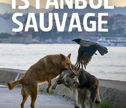 image-https://media.senscritique.com/media/000019917693/0/istanbul_sauvage.jpg