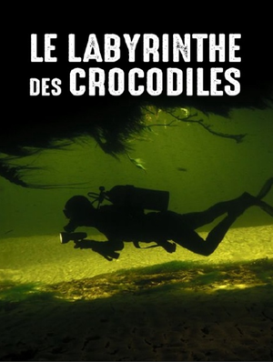 Le Labyrinthe des crocodiles