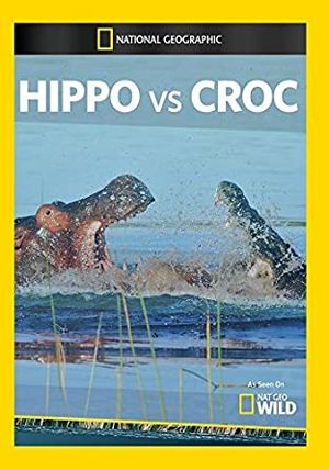 Hippo vs Croco