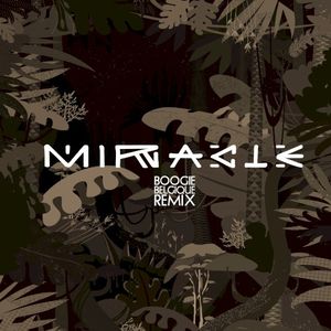 Miracle (Boogie Belgique remix)