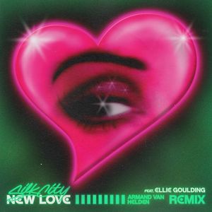 New Love (Armand van Helden remix)