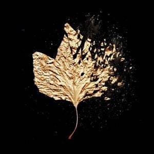 Autumn (Single)