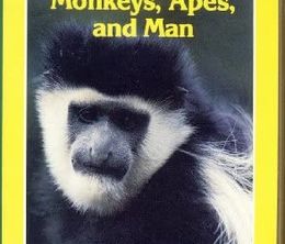image-https://media.senscritique.com/media/000019922545/0/les_singes_les_primates_et_l_homme.jpg
