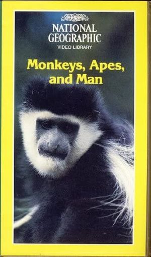 Les Singes, les Primates et l'Homme