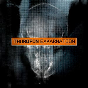 Exkarnation