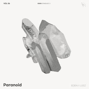 Paranoid (Single)