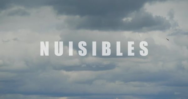 Nuisibles