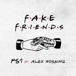 Fake Friends (Single)