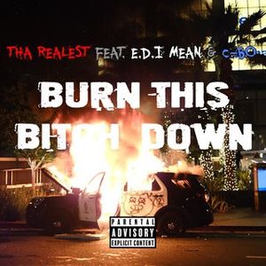 Burn This Bitch Down (Single)
