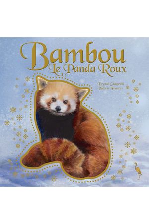 Bambou le panda roux