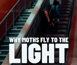 image-https://media.senscritique.com/media/000019929037/0/why_moths_fly_to_the_light.jpg