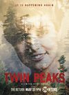 Twin Peakscover