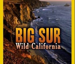 image-https://media.senscritique.com/media/000019931025/0/big_sur_la_californie_sauvage.jpg