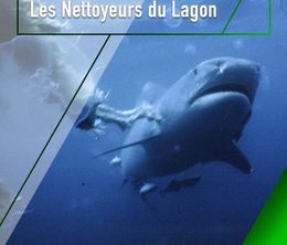 image-https://media.senscritique.com/media/000019931063/0/requins_les_nettoyeurs_du_lagon.jpg