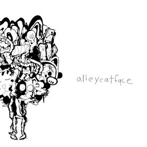 Alleycatface