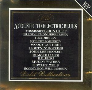 Acoustic to Electric Blues