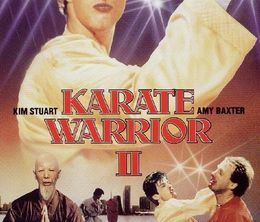 image-https://media.senscritique.com/media/000019936381/0/karate_warrior_ii.jpg