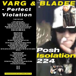 Perfect Violation (Single)