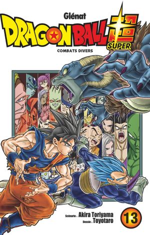 Combats divers - Dragon Ball Super, tome 13