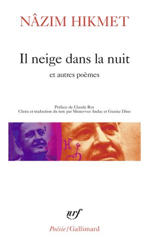 Il neige dans la nuit