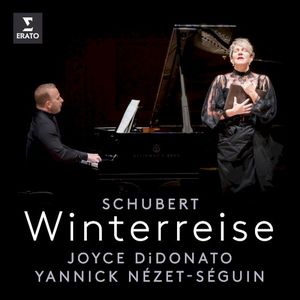 Winterreise, op. 89, D. 911: No. 8, Rückblick
