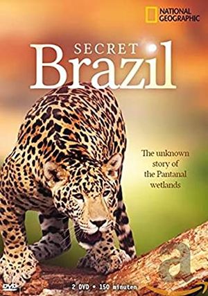 Les Mystères du Brésil