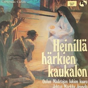 Heinillä härkien kaukalon