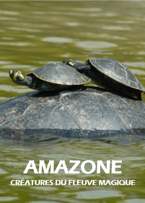 Amazone : Créatures du fleuve magique