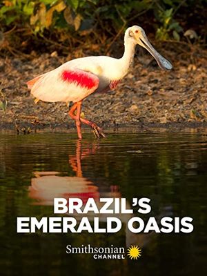 L'Oasis d'émeraude du Brésil