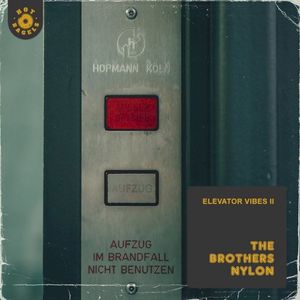 Elevator Vibes II (Single)