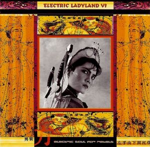 Electric Ladyland VI