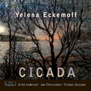 Cicada (Single)
