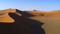 La Solitude du désert