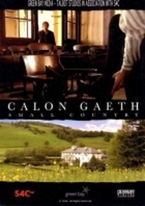 Calon Gaeth, Small Country