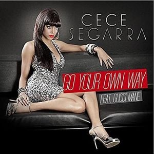 Go Your Own Way (Single)