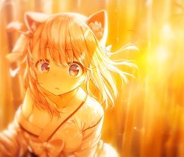 image-https://media.senscritique.com/media/000019956131/0/the_fox_awaits_me.jpg