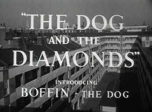 The Dog and the Diamonds