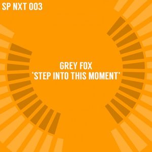 Step Into This Moment (radio edit)