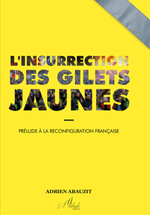 L'Insurrection des gilets jaunes