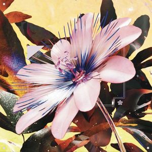 Passionfruit (Drake cover) (Single)