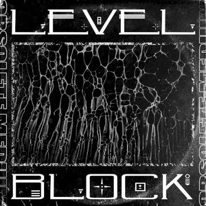 LEVEL / BLOCK (Single)