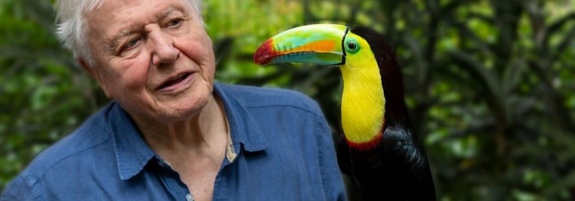 Cover La Vie en couleurs avec David Attenborough