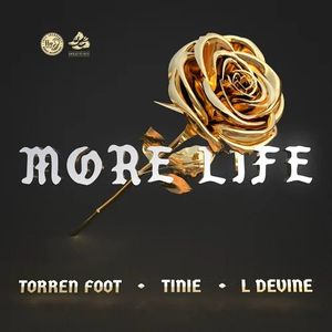 More Life (Single)